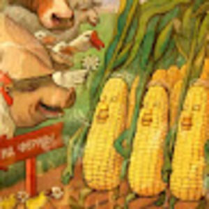 Meet your Posher, Kiki